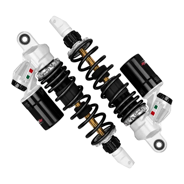 野蠻公牛 FR-T 後避震