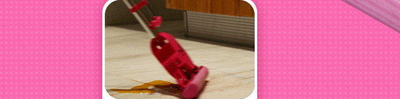 Pro Logic 保樂潔-PM5000A-迷你加長版拖把