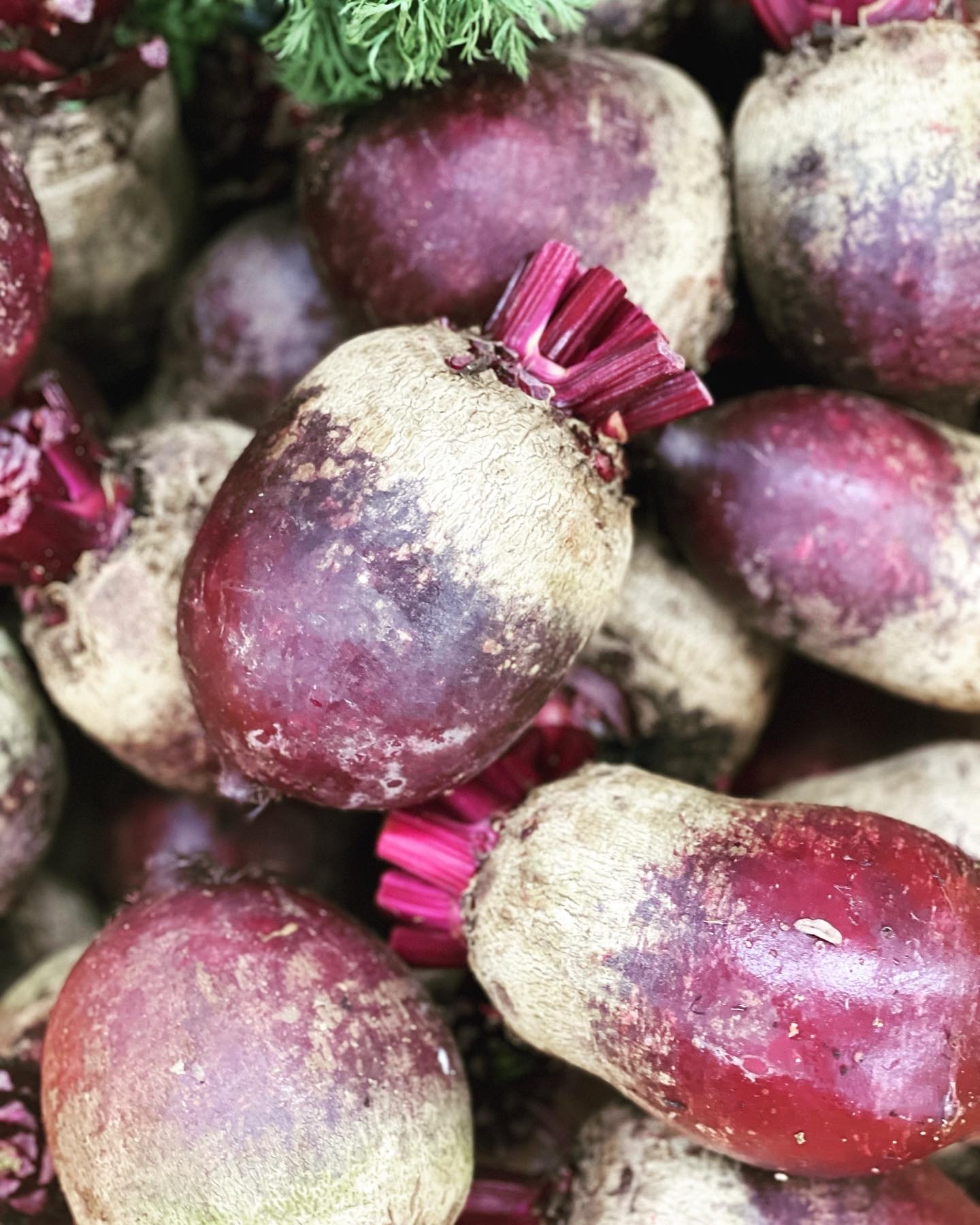 開胃糖醋漬本地有機紅菜頭 400g