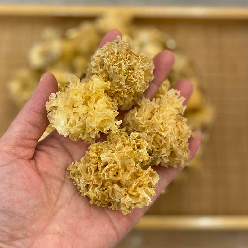 漳州甲雪耳（200克）