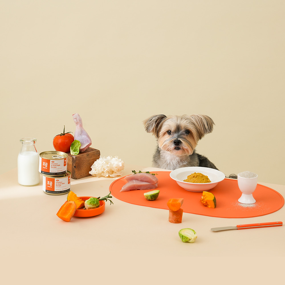 CHOGONG 朝貢-philo犬用主食罐【山羊奶雞】140g