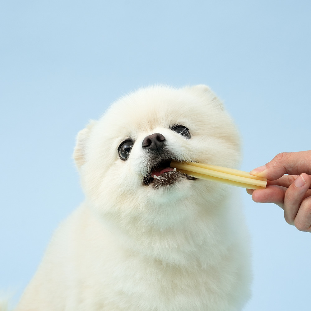 CHOGONG 朝貢-DEEP BRUSH犬用潔牙骨【山羊奶味】