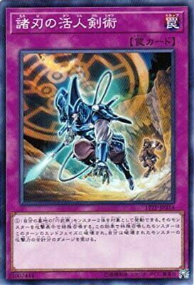 17TP-JP314 諸刃の活人剣術