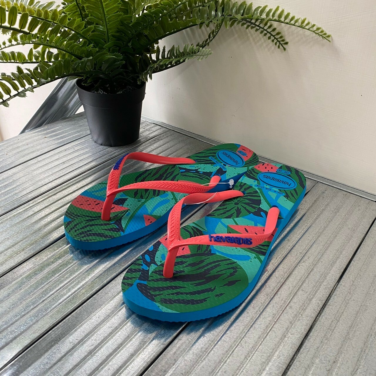Havaianas 哈瓦仕 夏季水果 西瓜 綠松石色 4148937-0212W