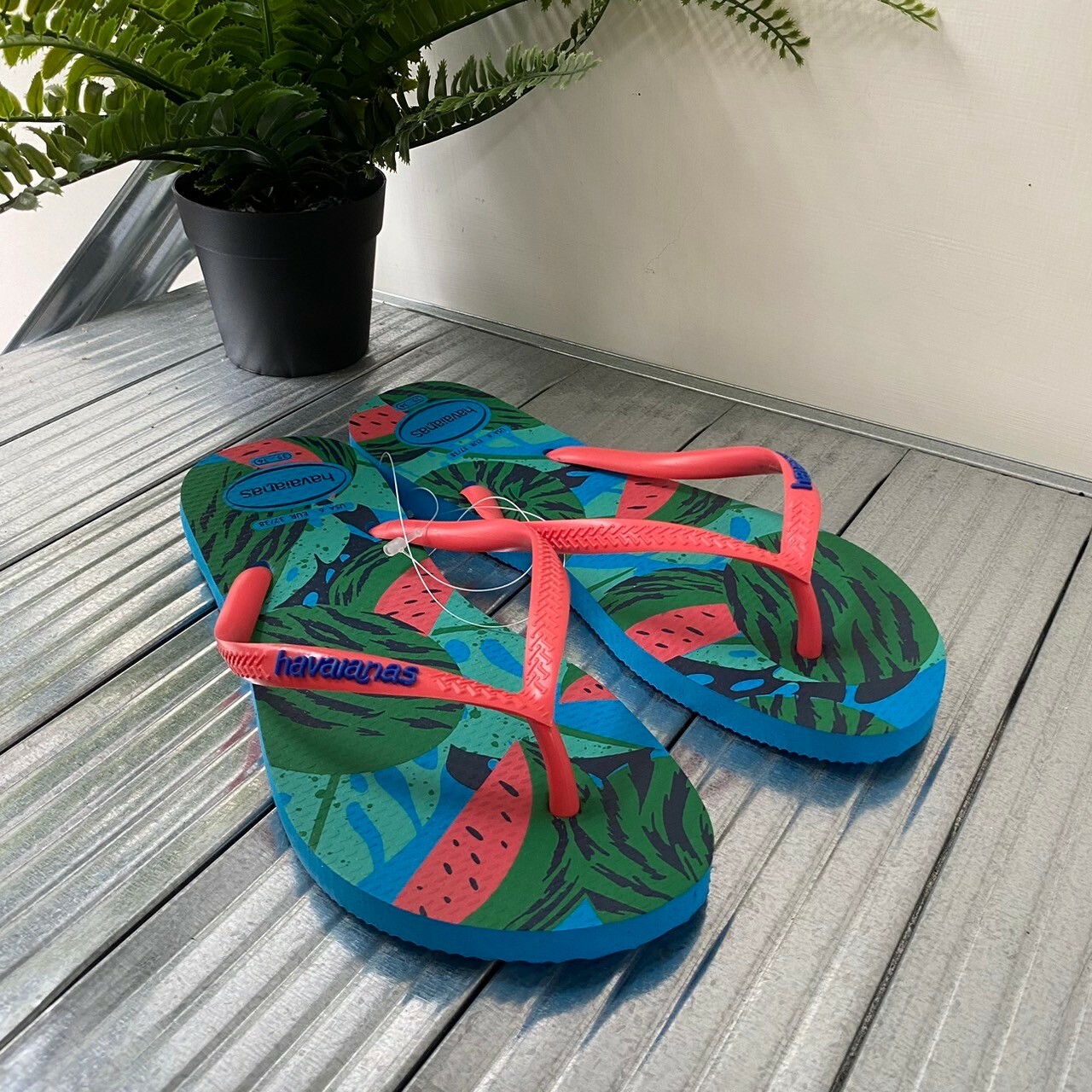 Havaianas 哈瓦仕 夏季水果 西瓜 綠松石色 4148937-0212W
