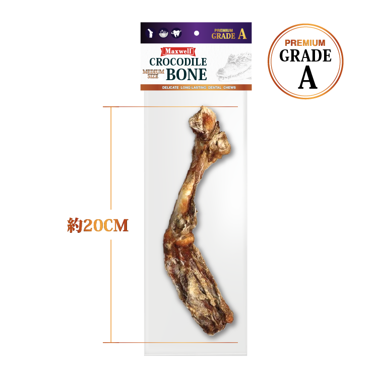 Maxwell Wild-Grade A 純正 鱷魚大腿 (M)1支 (MXA-4705)