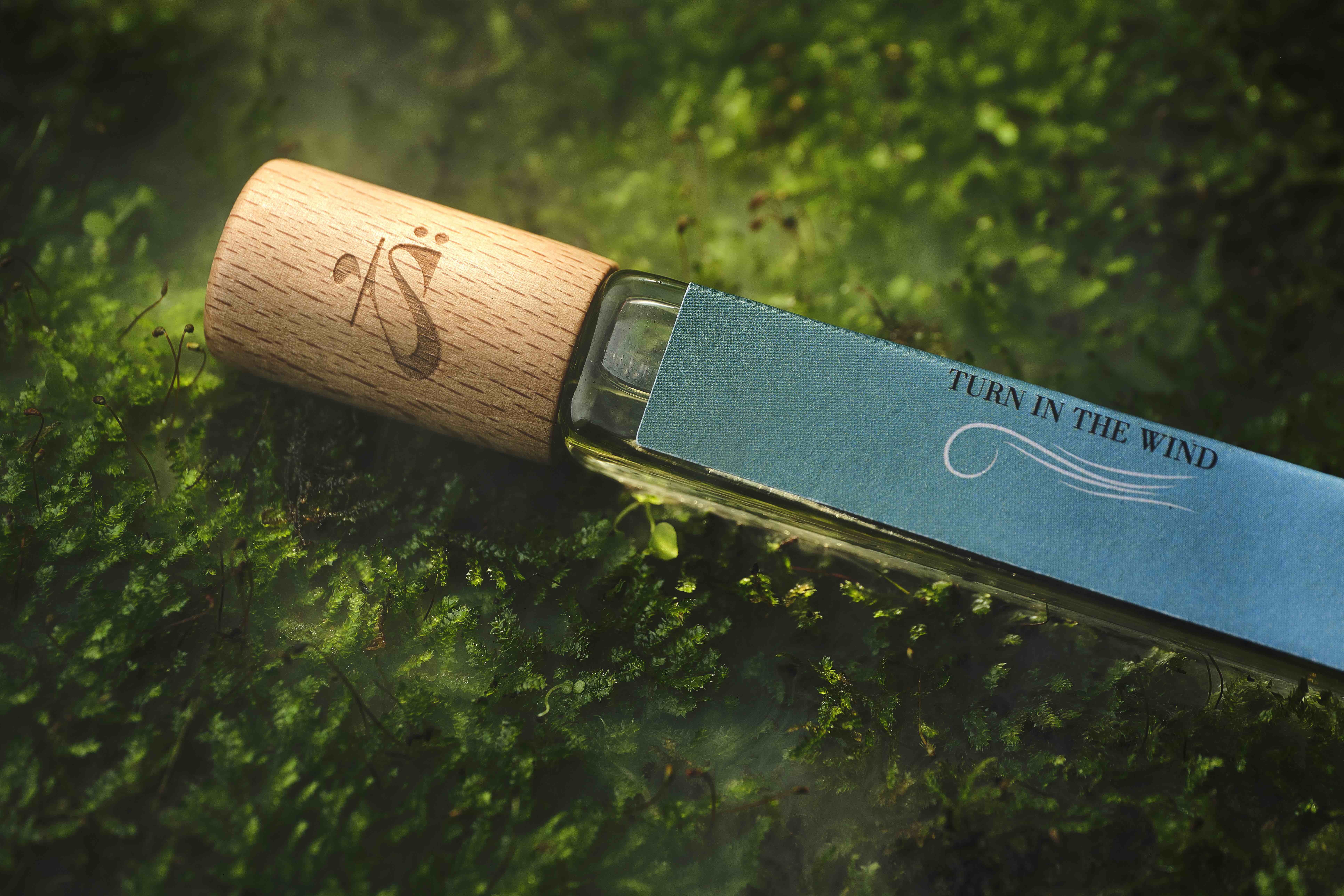 通往白匏子的記憶