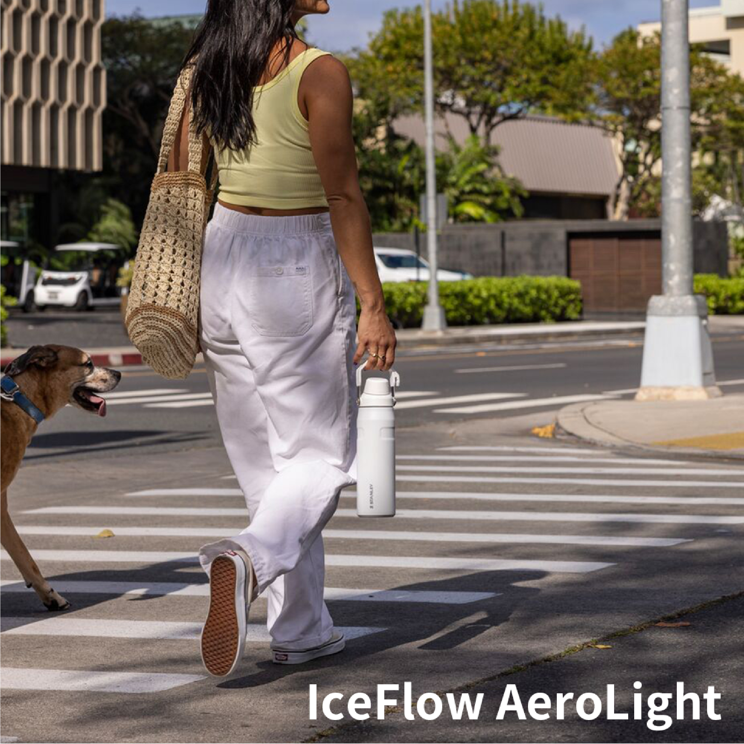 STANLEY IceFlow Aerolight 0.7L 輕重力系列 快充瓶