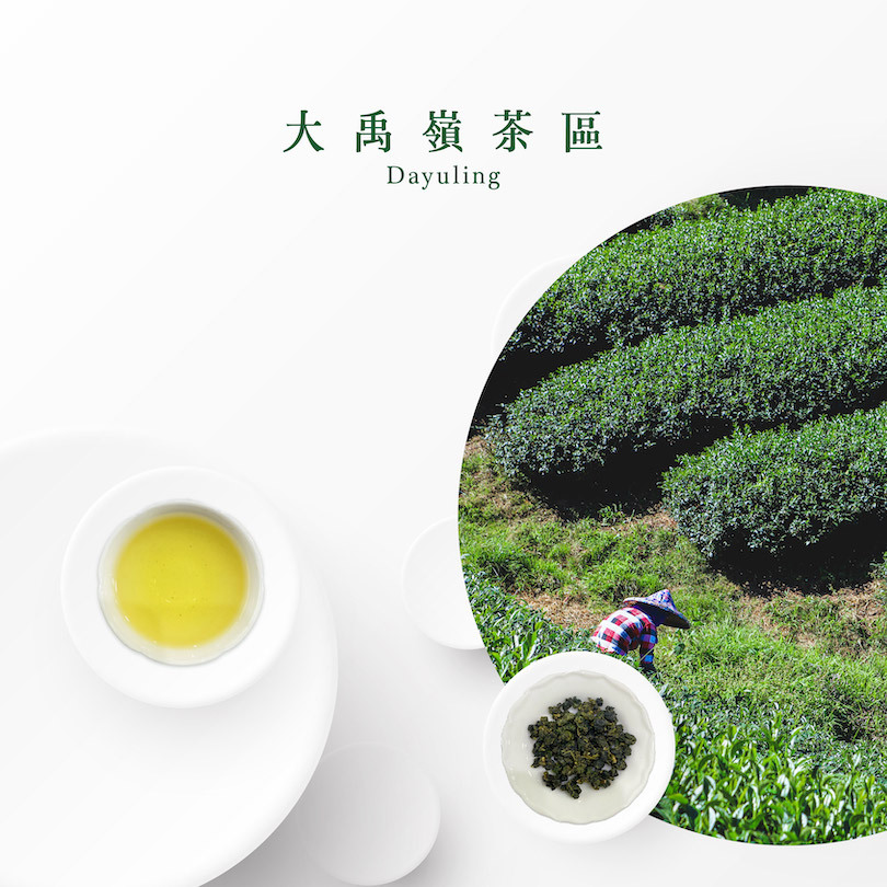 大禹嶺茶葉｜高山茶｜高冷茶- 天下第一好茶