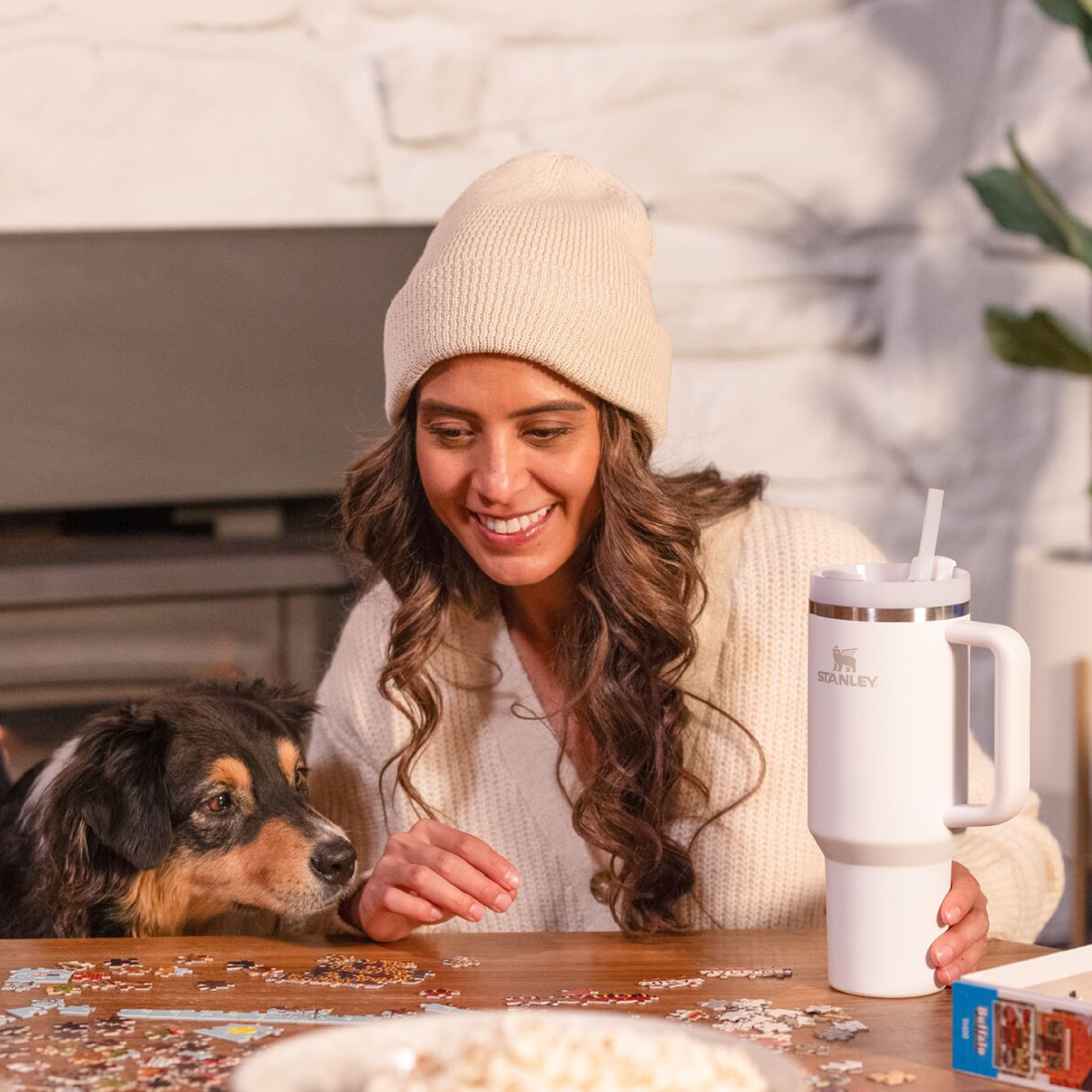 STANLEY Quencher / 冒險系列 2.0 / 0.88L 吸管隨手杯