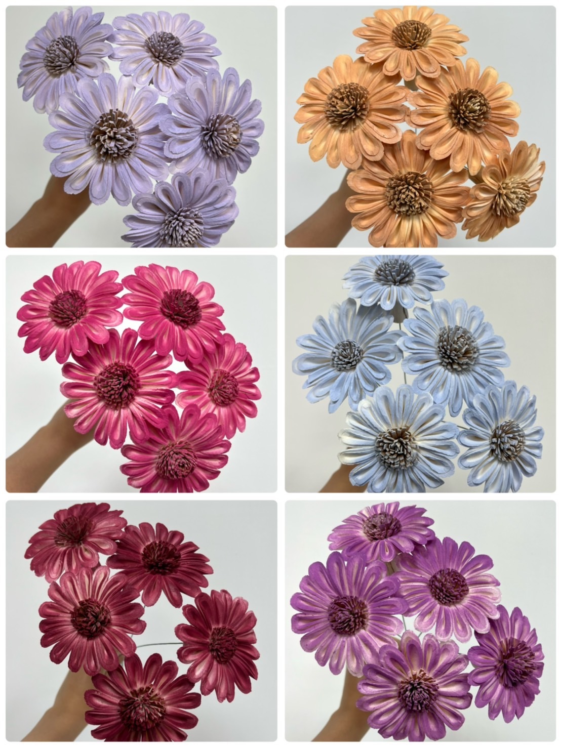 泰國索拉花-太陽花 8cm <5支一把> (高品質)