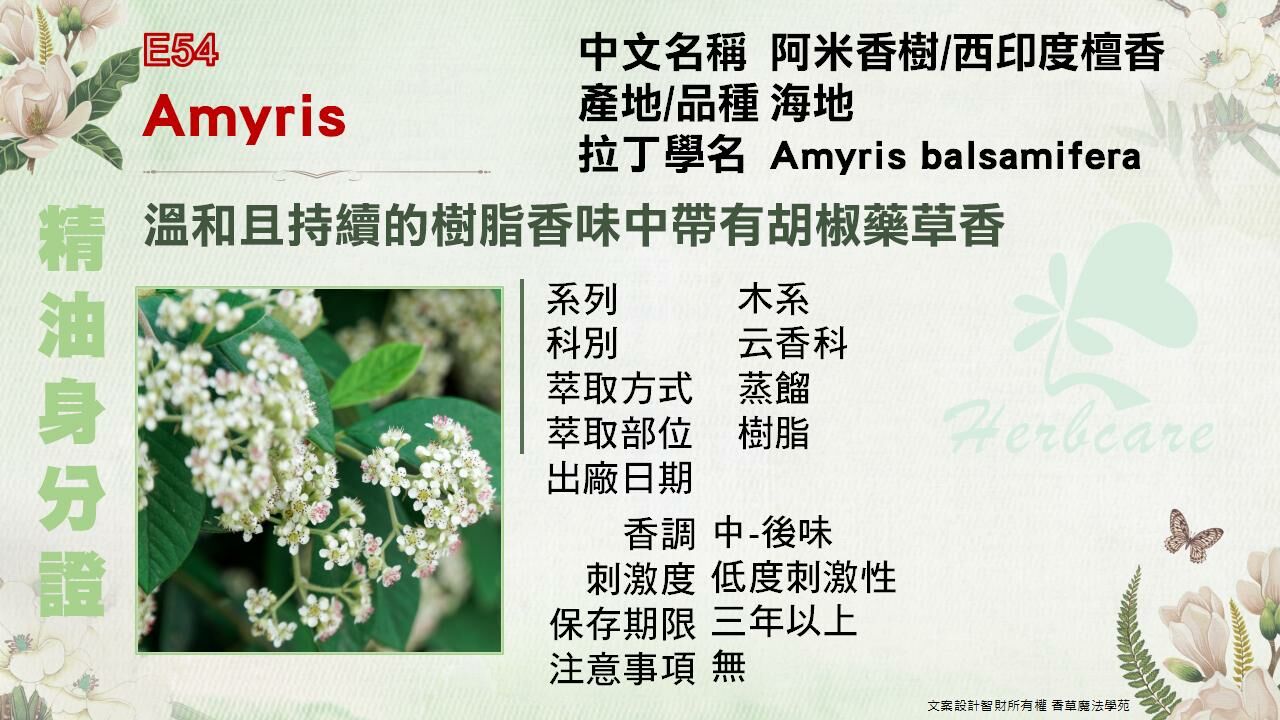 海地小農阿米香樹(西印度檀香)純精油10ml