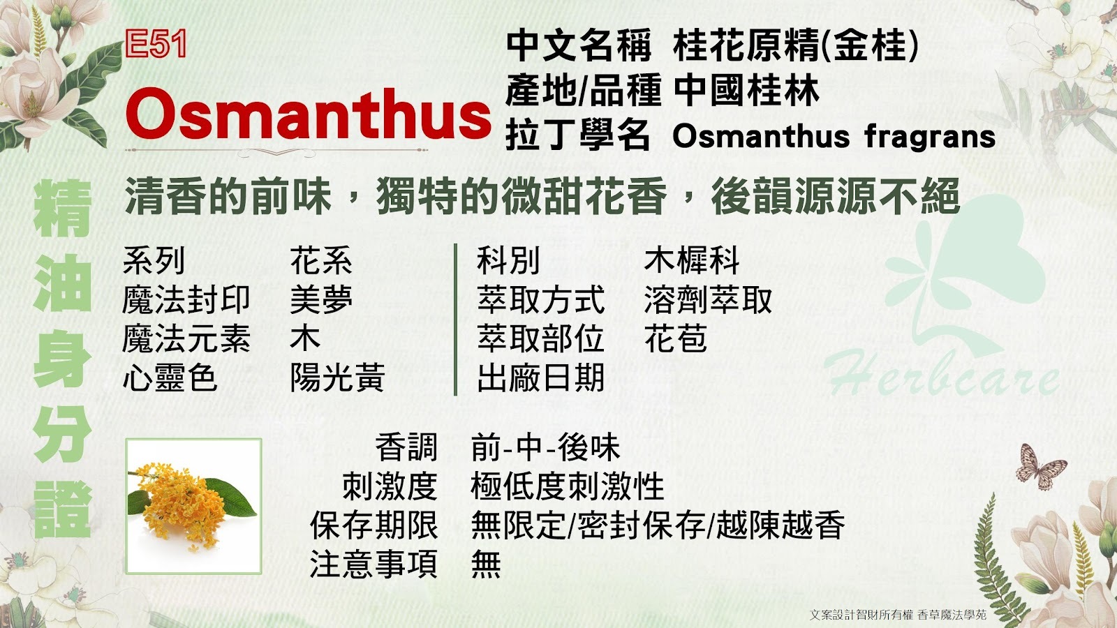 桂花原精純精油