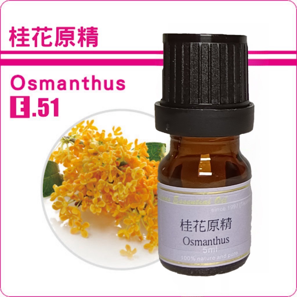 桂花原精純精油