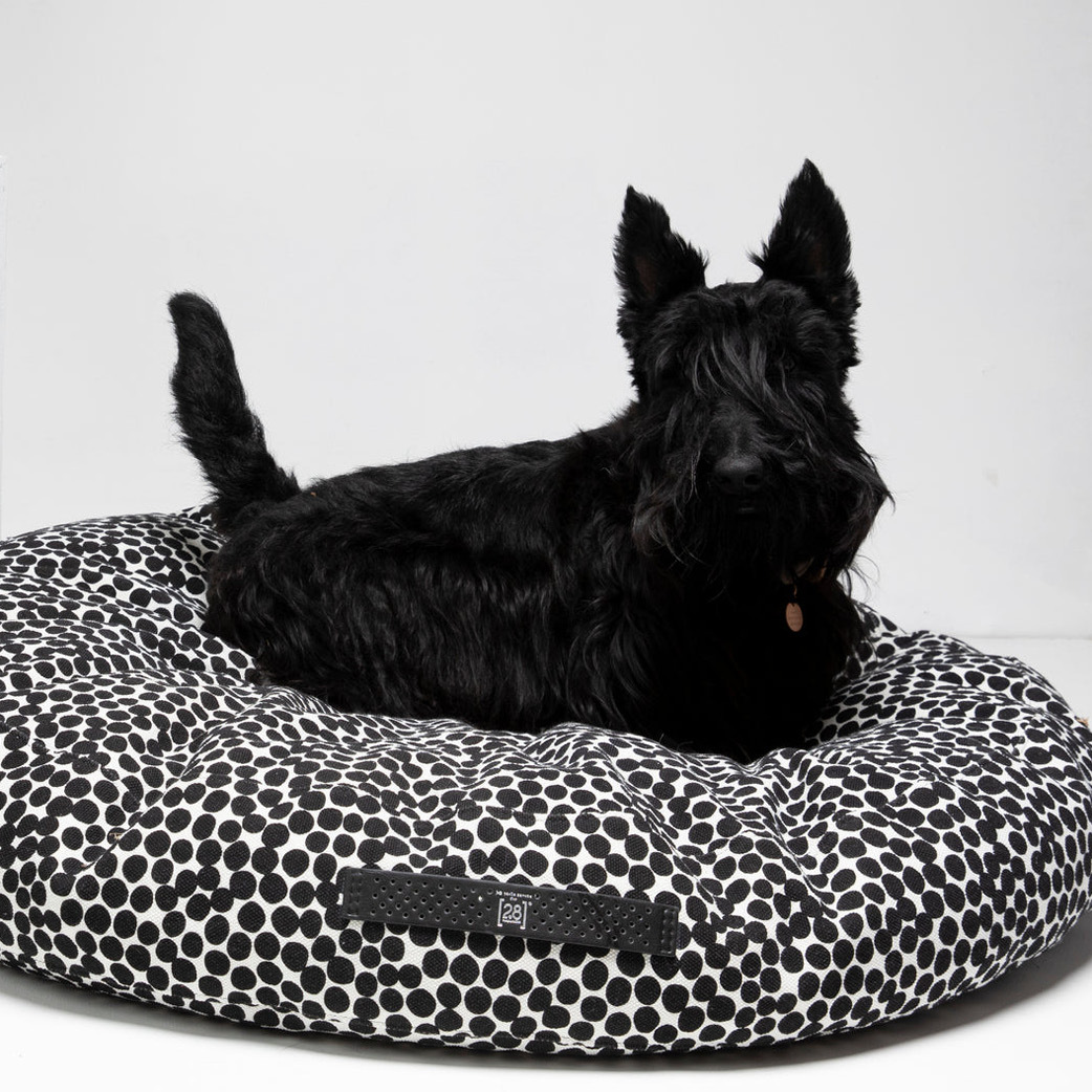 2.8 Design for Dogs - Fulvio Dotto 點點有機棉寵物床