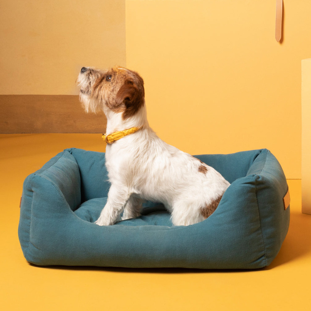 2.8 Design for Dogs - Henri 棉質帆布寵物床 - 瀝青藍