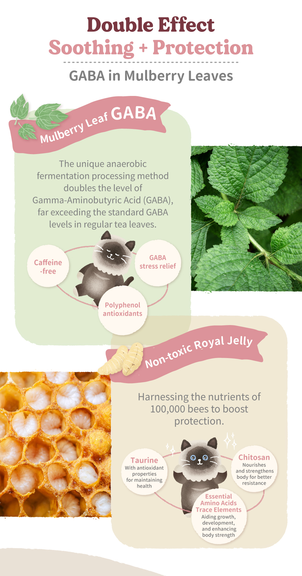 ECO-Wild Recipe Queen Bee Larva Slurp