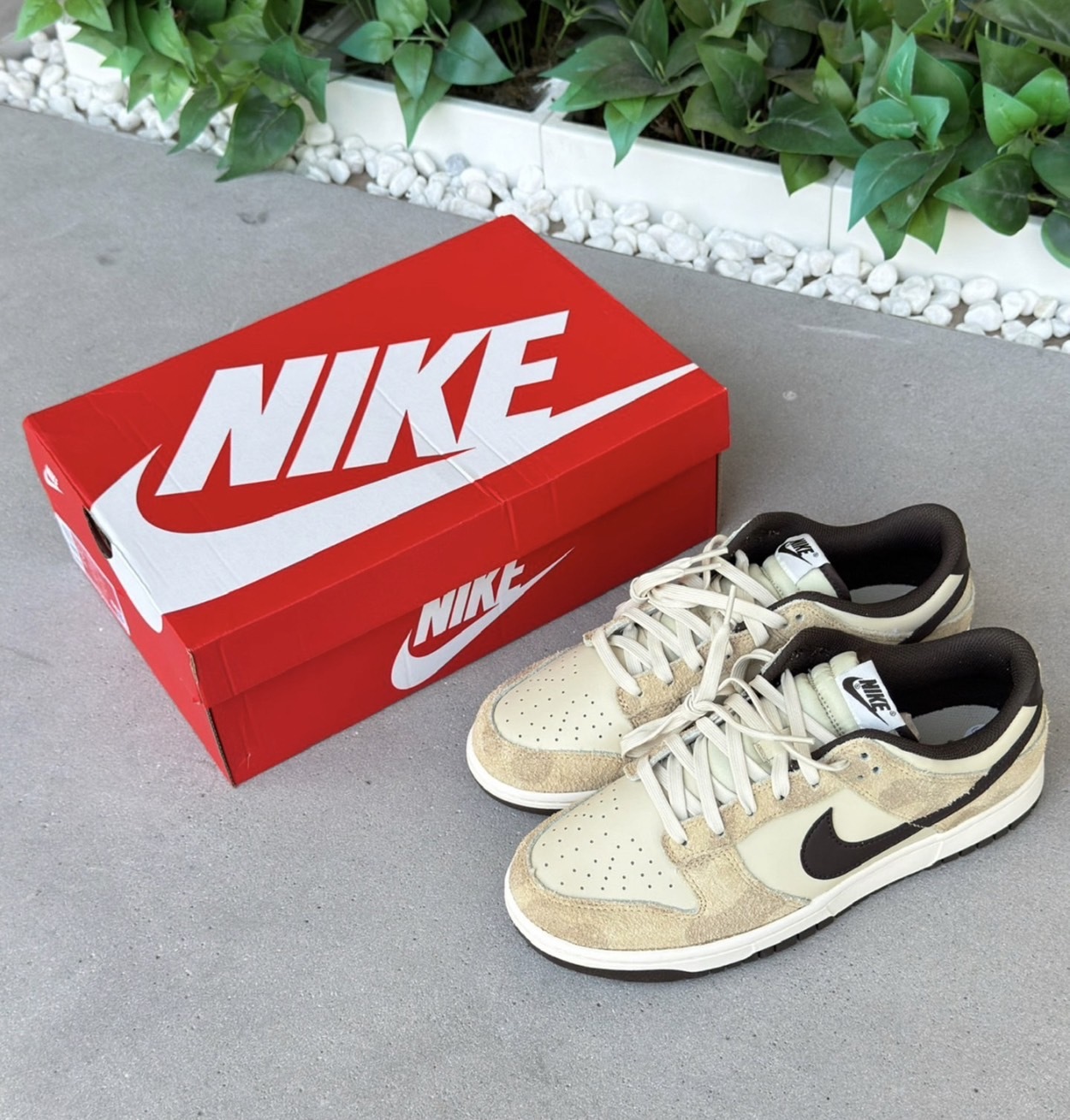 NIKE DUNK LOW Giraffe Animal 長頸鹿 卡其 獵豹 豹紋