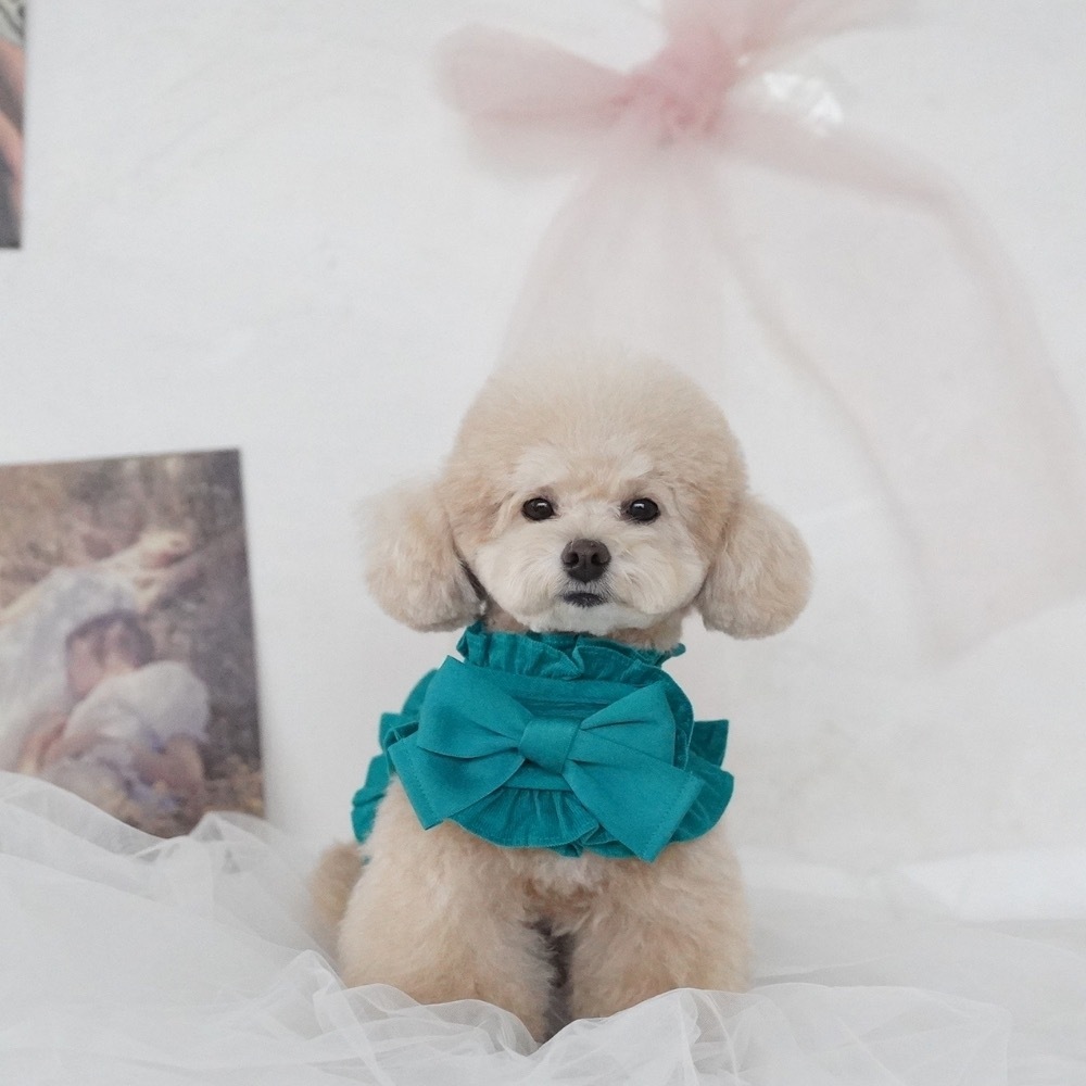 COZY-N 調色盤胸背（森林綠）