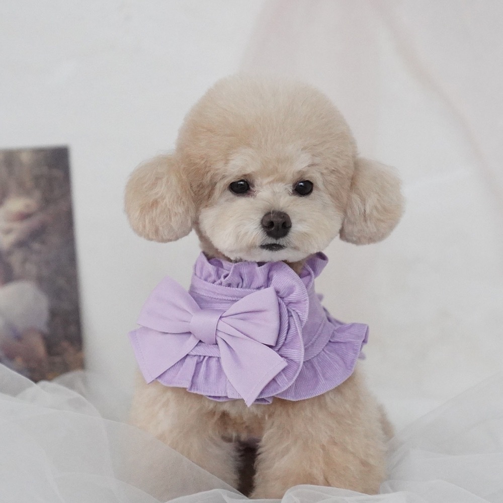 COZY-N 調色盤胸背（薰衣草）