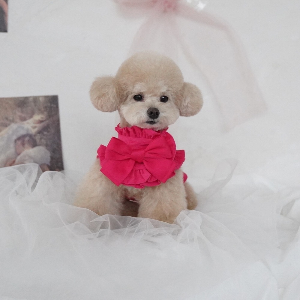 COZY-N 調色盤胸背（桃紅）