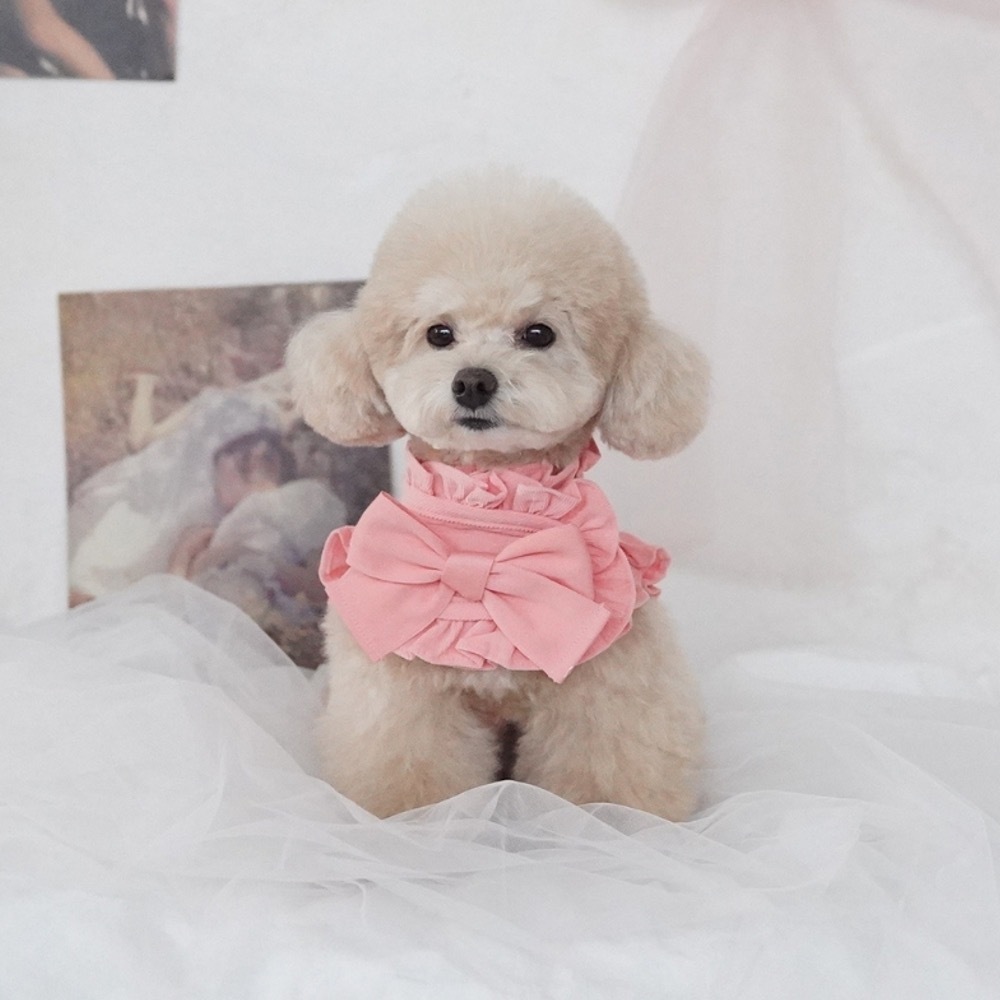 COZY-N 調色盤胸背（蜜桃）