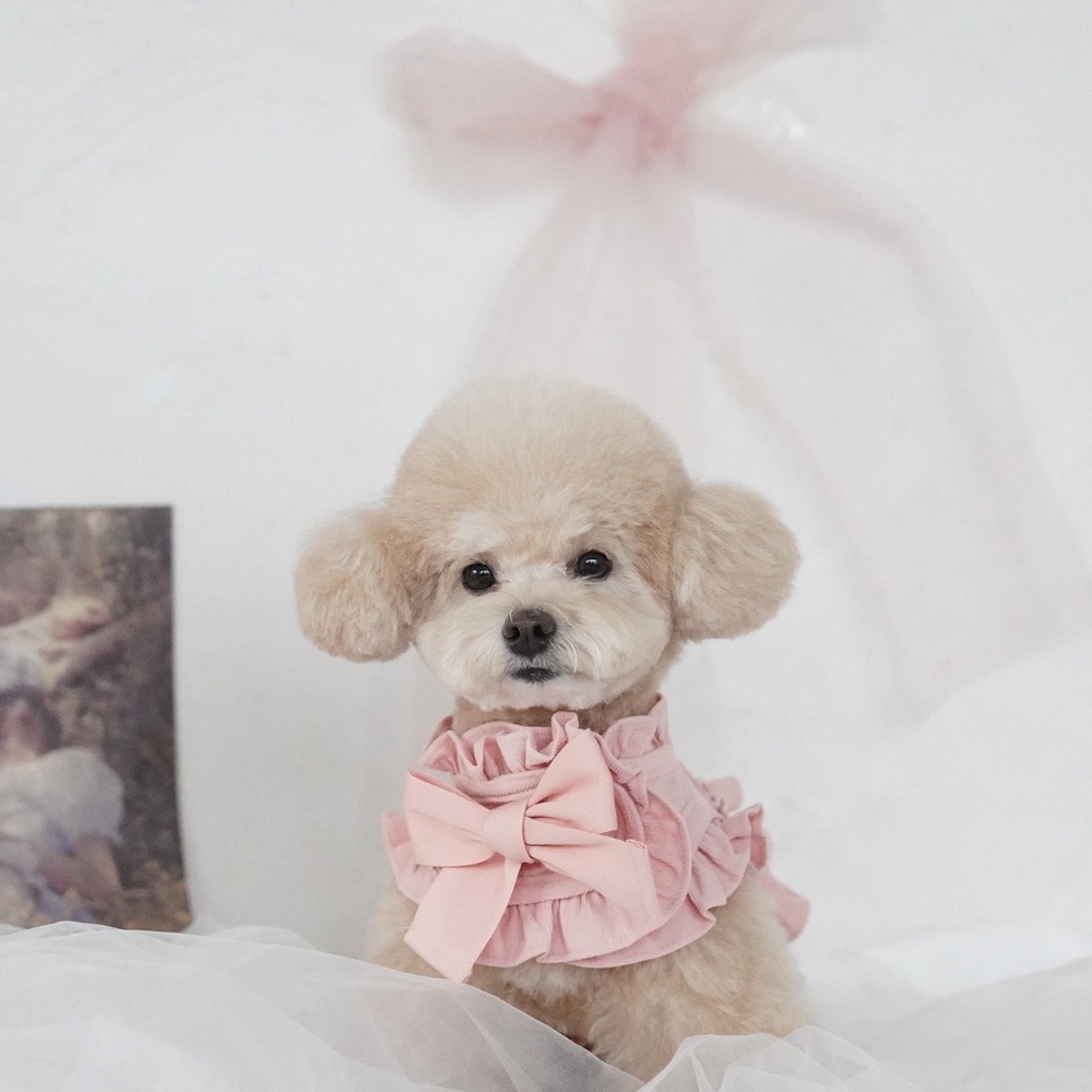 COZY-N 調色盤胸背（粉紅）