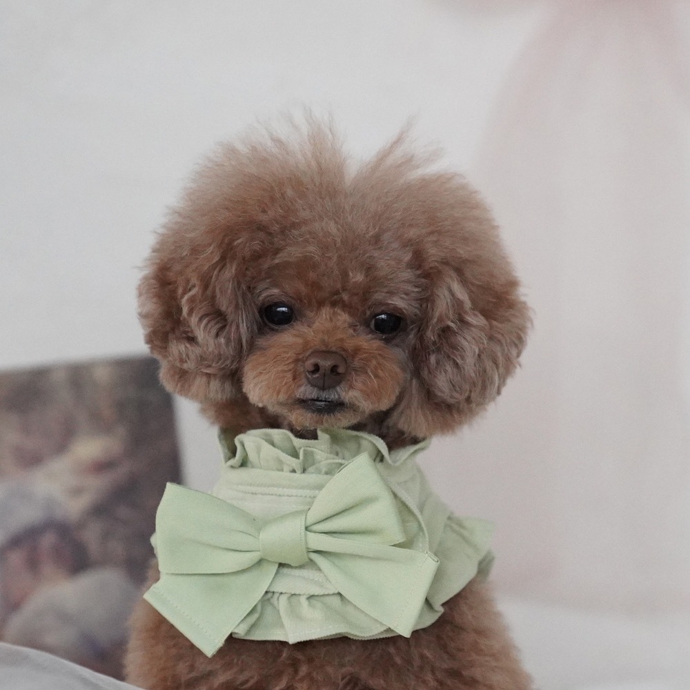 COZY-N 調色盤胸背（青草綠）