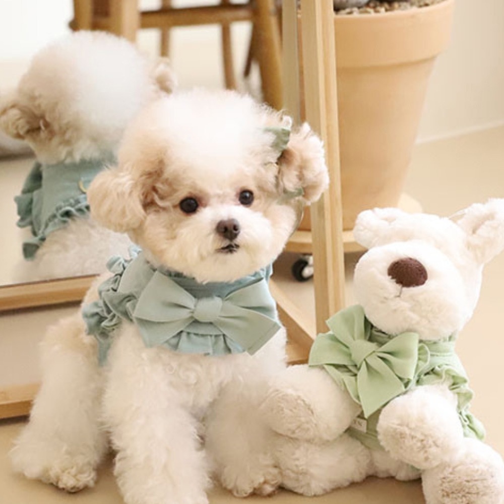 COZY-N 調色盤胸背（薄荷）