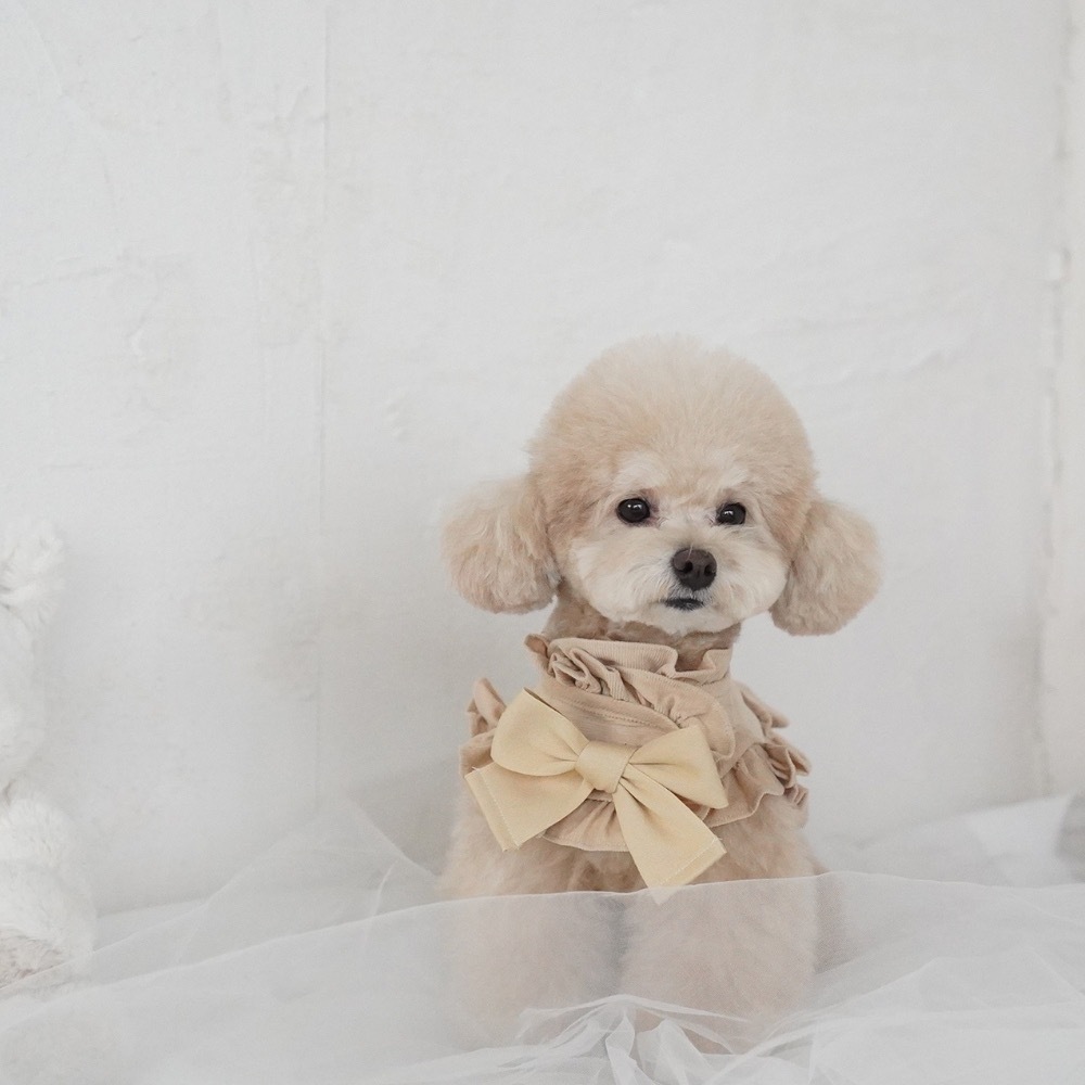 COZY-N 調色盤胸背（卡其）