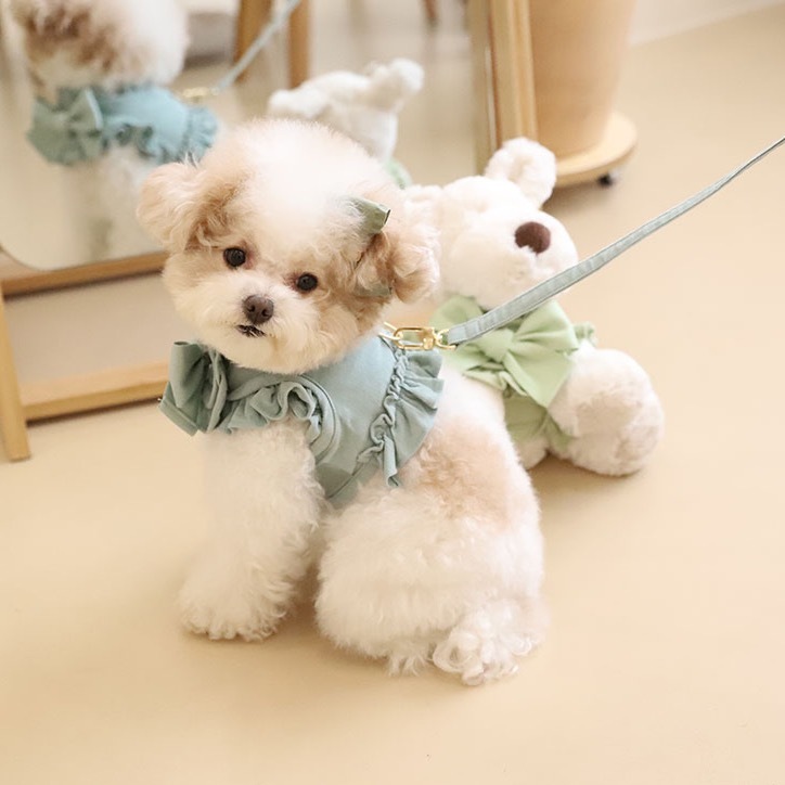 COZY-N 調色盤拉繩（薄荷）