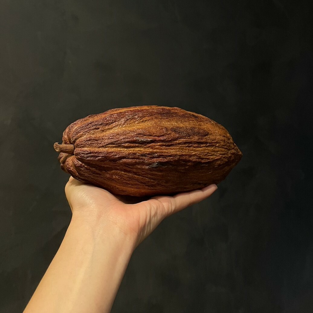 屏東烘烤可可豆（一組兩顆）