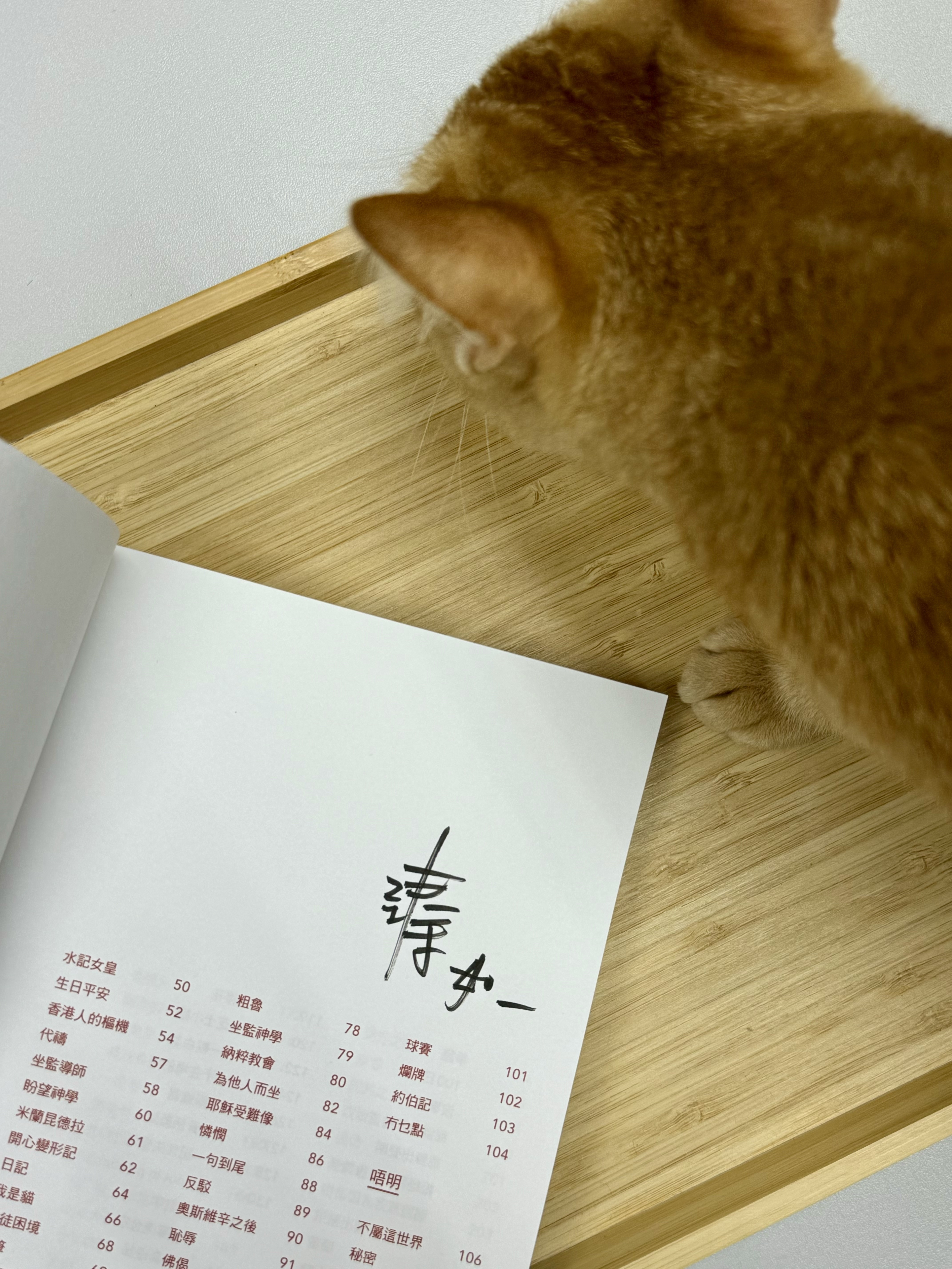 【最後少量加印】邵家臻《字裡囚間—明就明唔明就黎明》