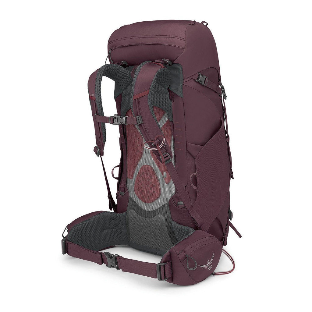 Osprey kyte 36 purple hotsell