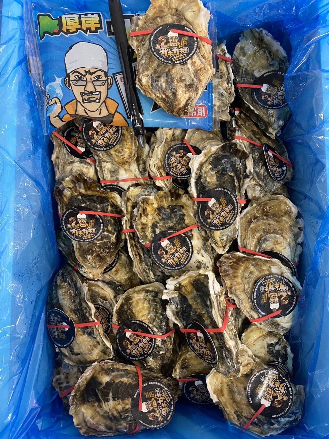 北海道 厚岸 タグ 生蠔