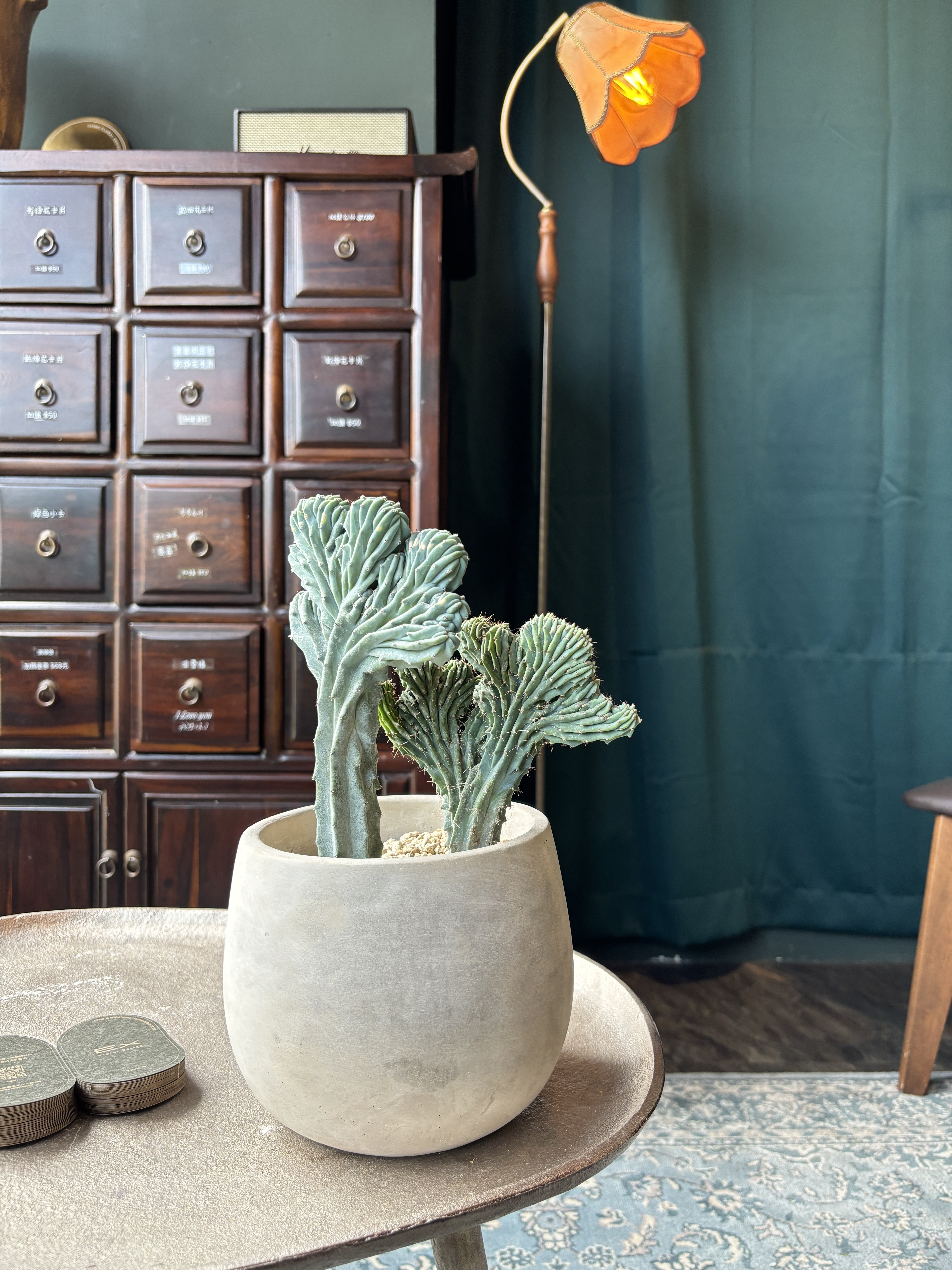 神龍木·綴化 水磨石盆