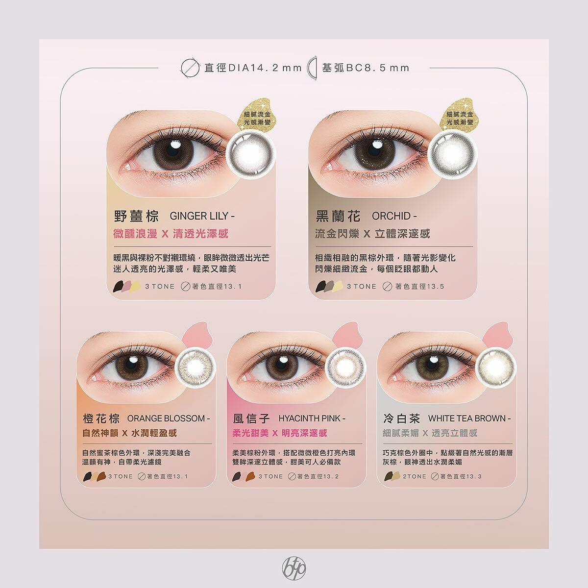 晶碩Pegavision 香水維他命日拋系列Lily 鈴蘭棕