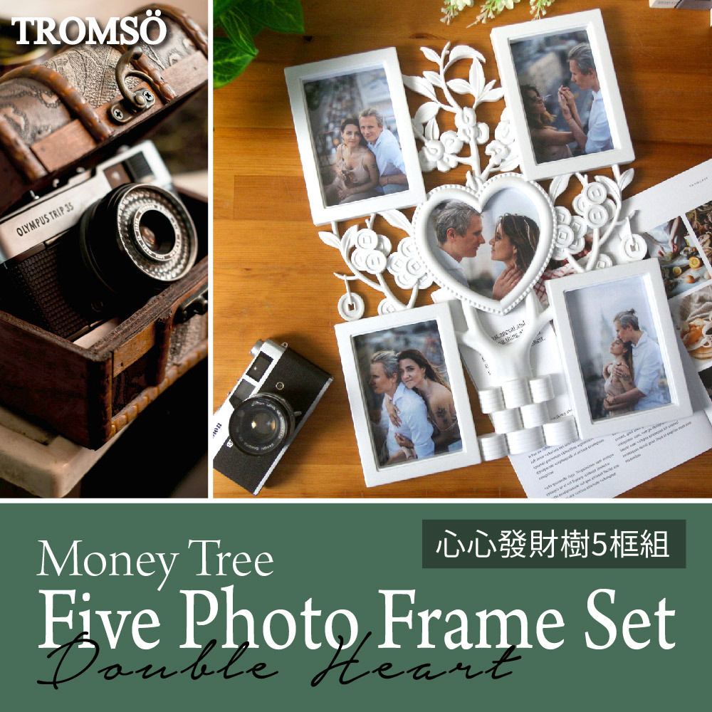 心心發財樹5框組