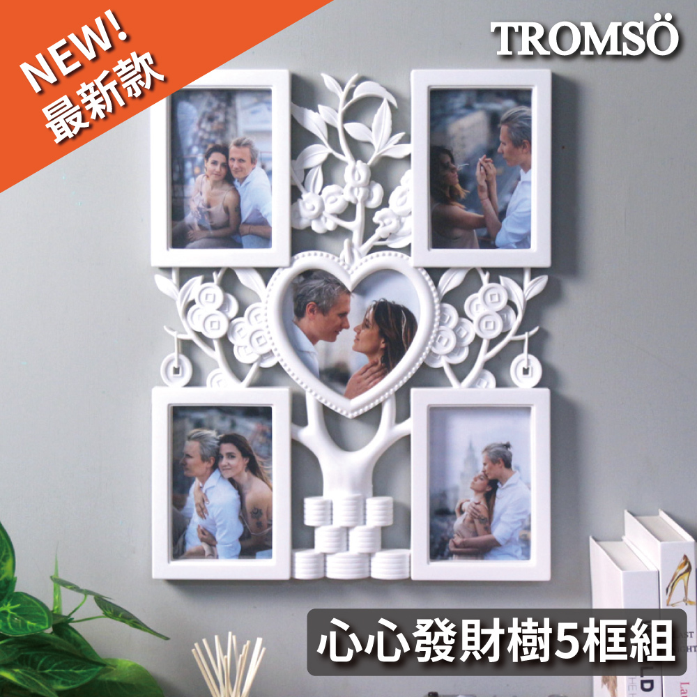心心發財樹5框組