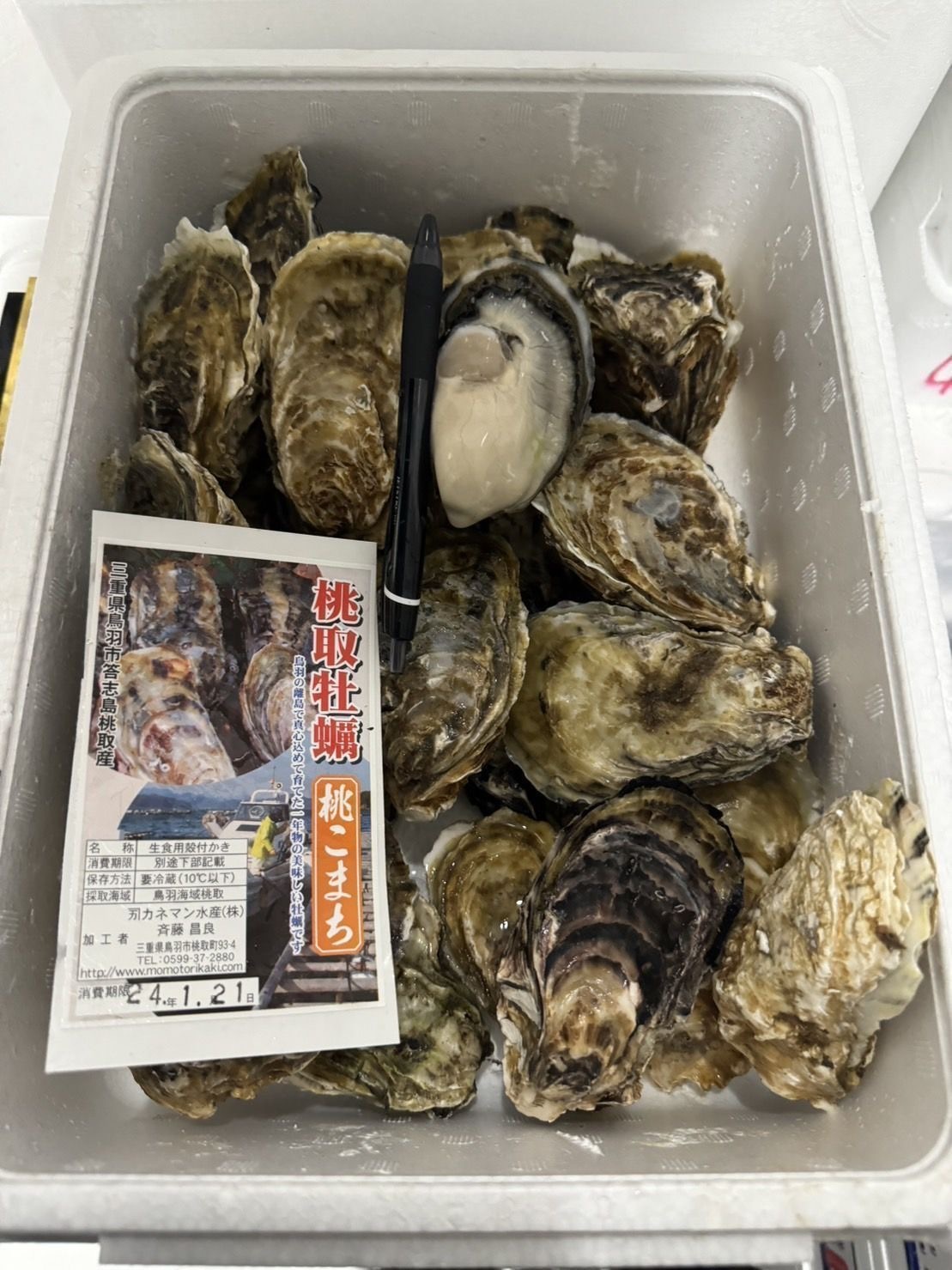 三重 桃こまち 生蠔