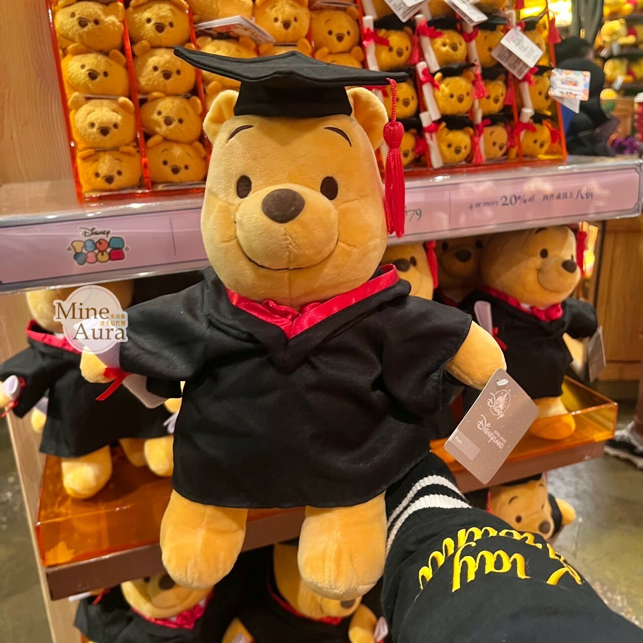 小熊維尼 Winnie the Pooh 學士服造型 娃娃 玩偶 -香港迪士尼樂園