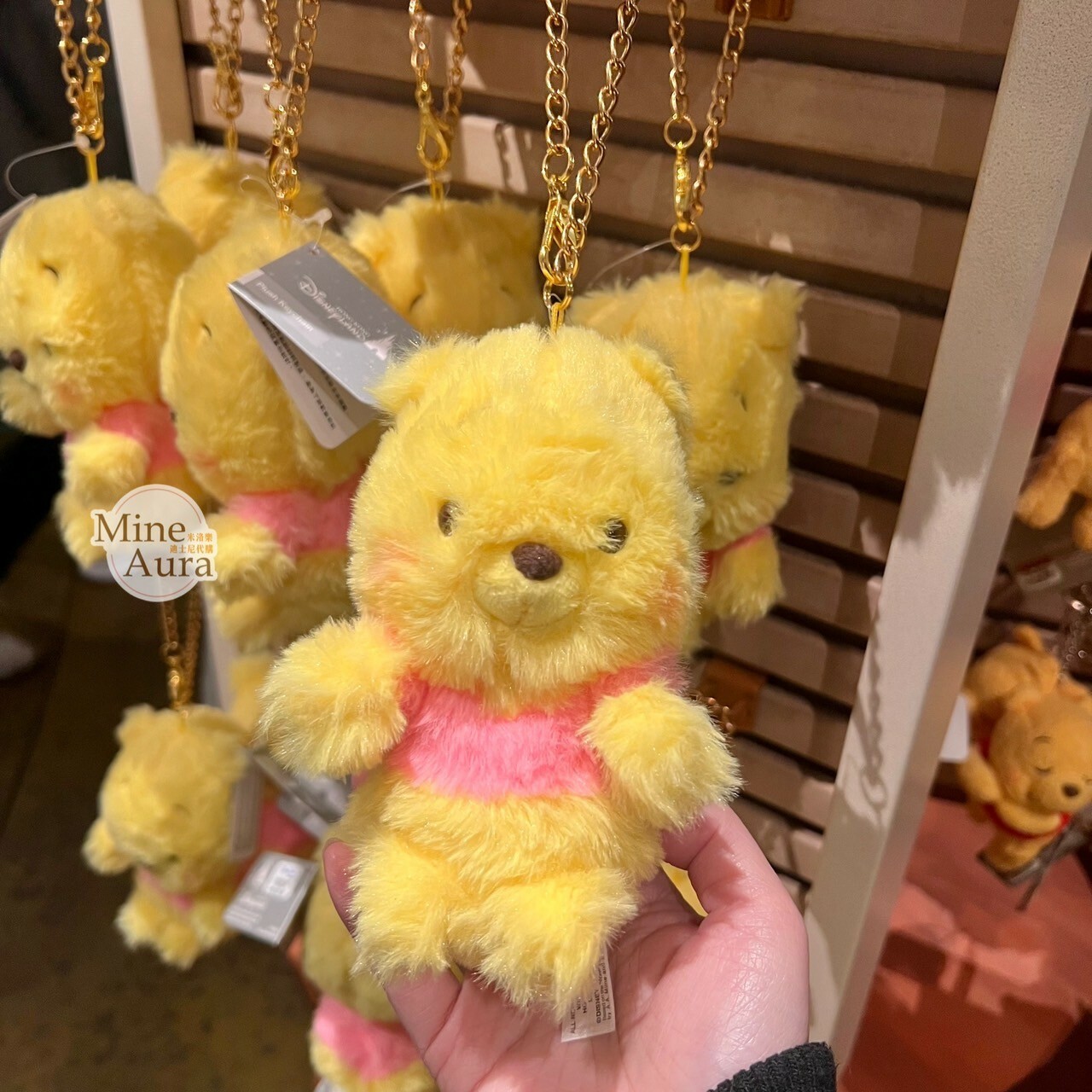 小熊維尼 Winnie the Pooh 毛毛 造型 鑰匙圈 吊飾 -香港迪士尼樂園