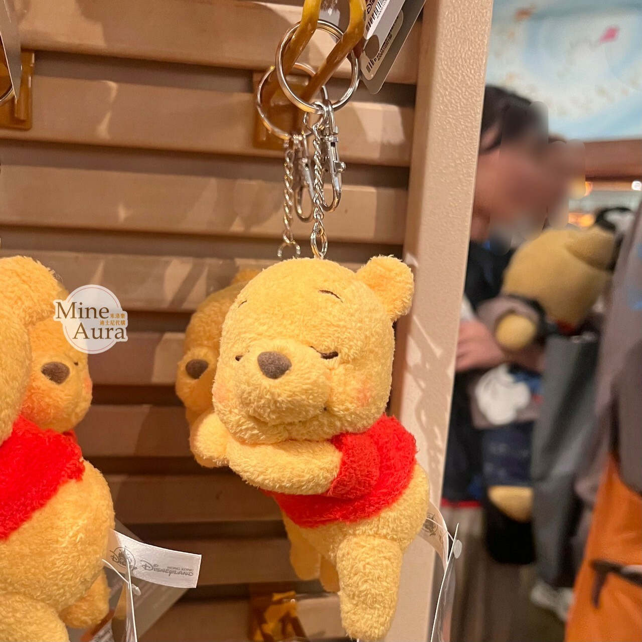 小熊維尼 Winnie the Pooh 趴趴睡顏 睡姿 趴姿 絨毛 鑰匙圈 吊飾 -香港迪士尼樂園