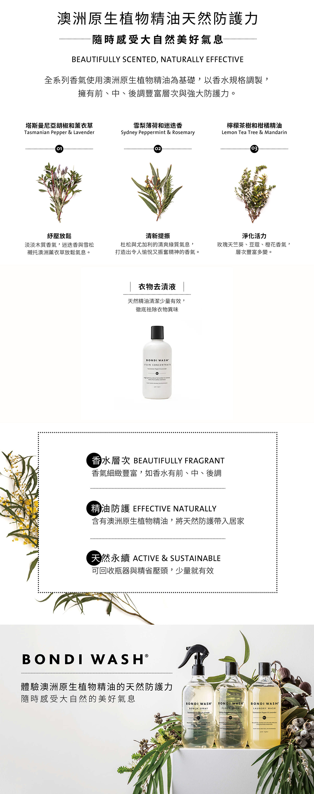 BONDI WASH 塔斯曼尼亞胡椒及薰衣草衣物去漬液 250ml BONDI WASH 塔斯曼尼亞胡椒及薰衣草衣物去漬液 250ml