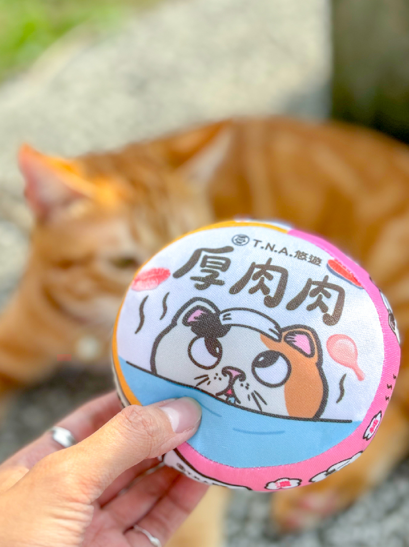 厚肉肉Hoorooroo罐罐貓草玩具