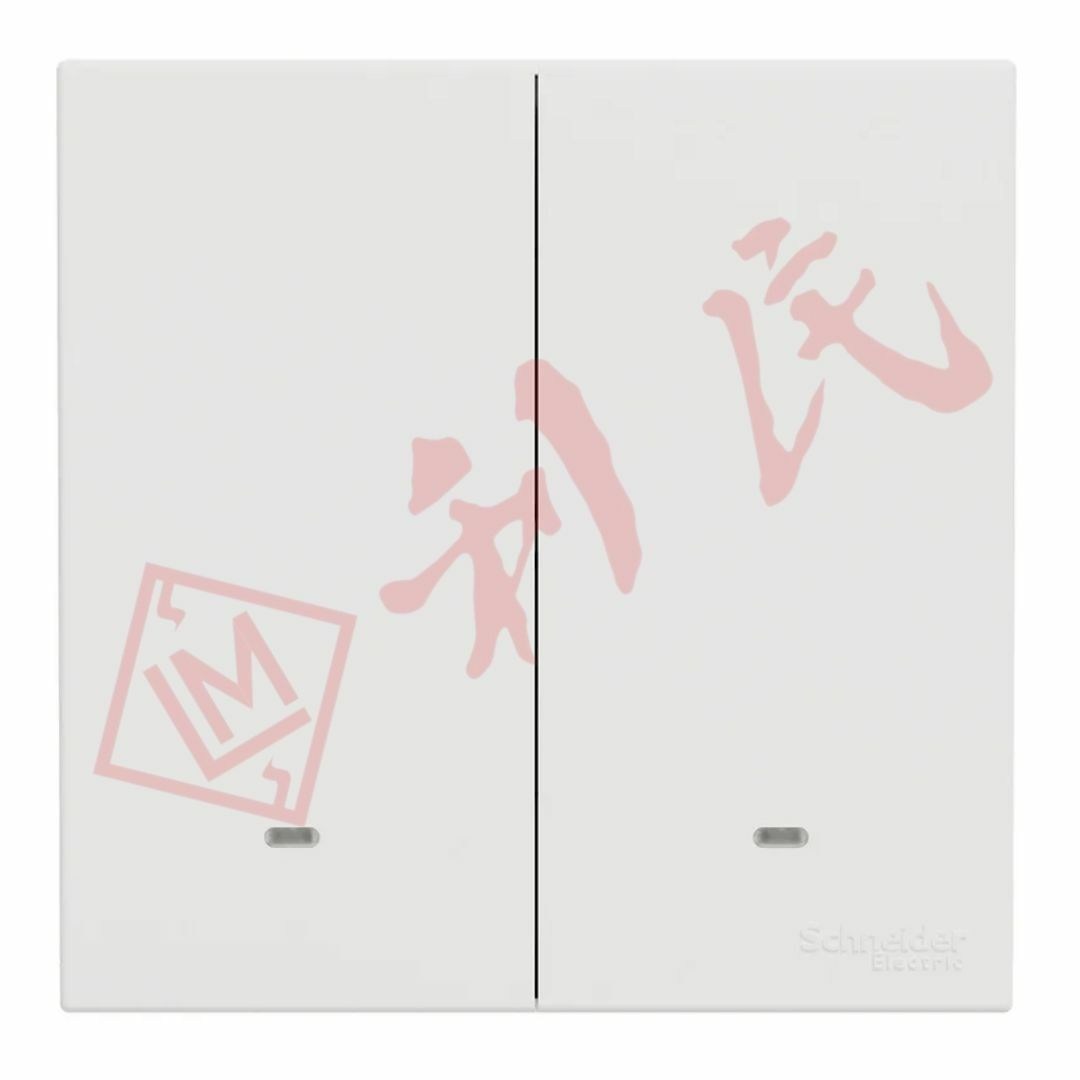 施耐德 AvatarOn C 16AX 兩位單控開關掣連螢光指示