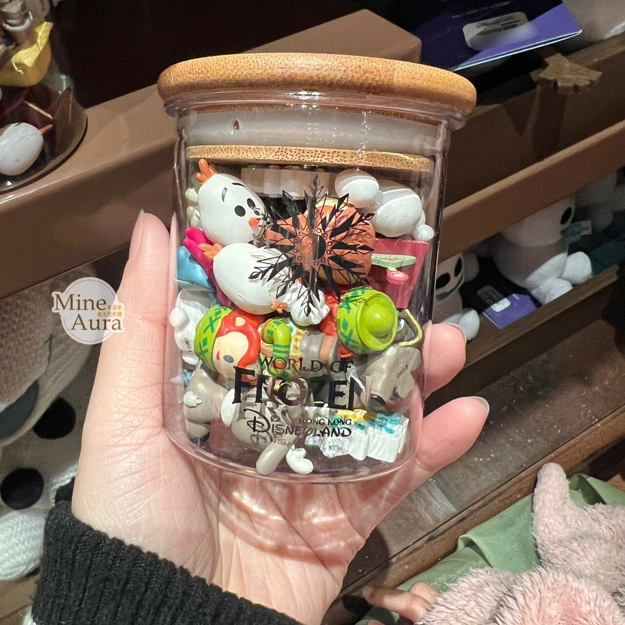 World of Frozen 樂園限定 冰雪奇緣 迷你公仔+罐子 -香港迪士尼樂園
