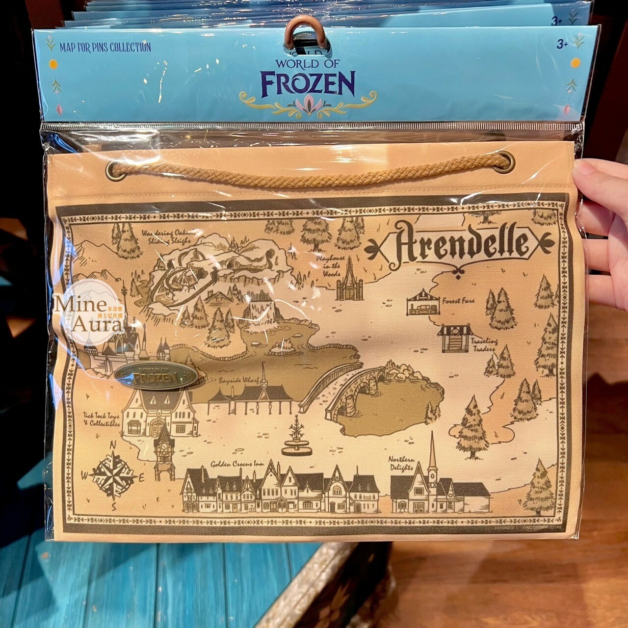 World of Frozen 限定 徽章 PIN 地圖 掛布 掛飾 冰雪奇緣 Frozen -香港迪士尼樂園