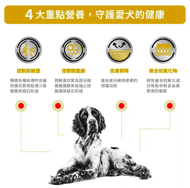 Royal Canin -處方食品成犬泌尿道低嘌呤乾糧 (2公斤)