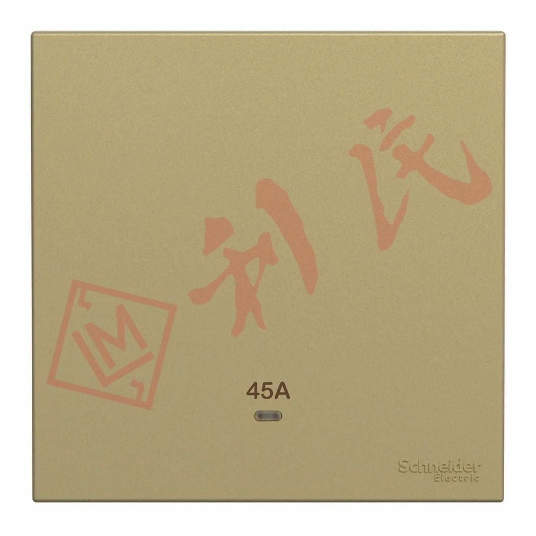 施耐德 AvatarOn C 45A 單位雙極開關掣連LED指示燈